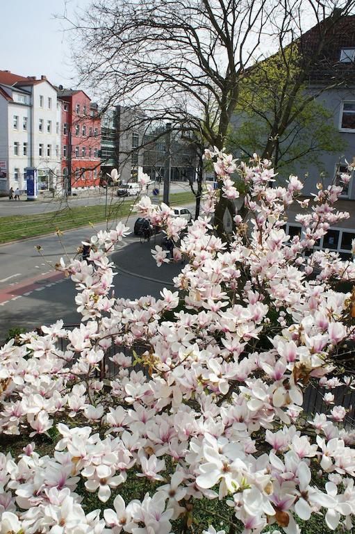Pension No. 55 Erfurt Dış mekan fotoğraf